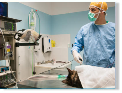 chirurgia laparoscopia mini invasiva