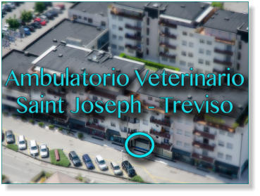 Veterinario Treviso Veterinario Treviso San Giuseppe - Ambulatorio Saint Joseph - Ambulatorio Saint Joseph