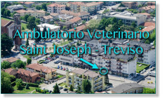 Veterinario San Giuseppe Treviso - Ambulatorio Saint Joseph