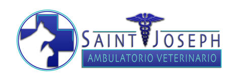 Veterinario Treviso San Giuseppe - Ambulatorio Saint Joseph